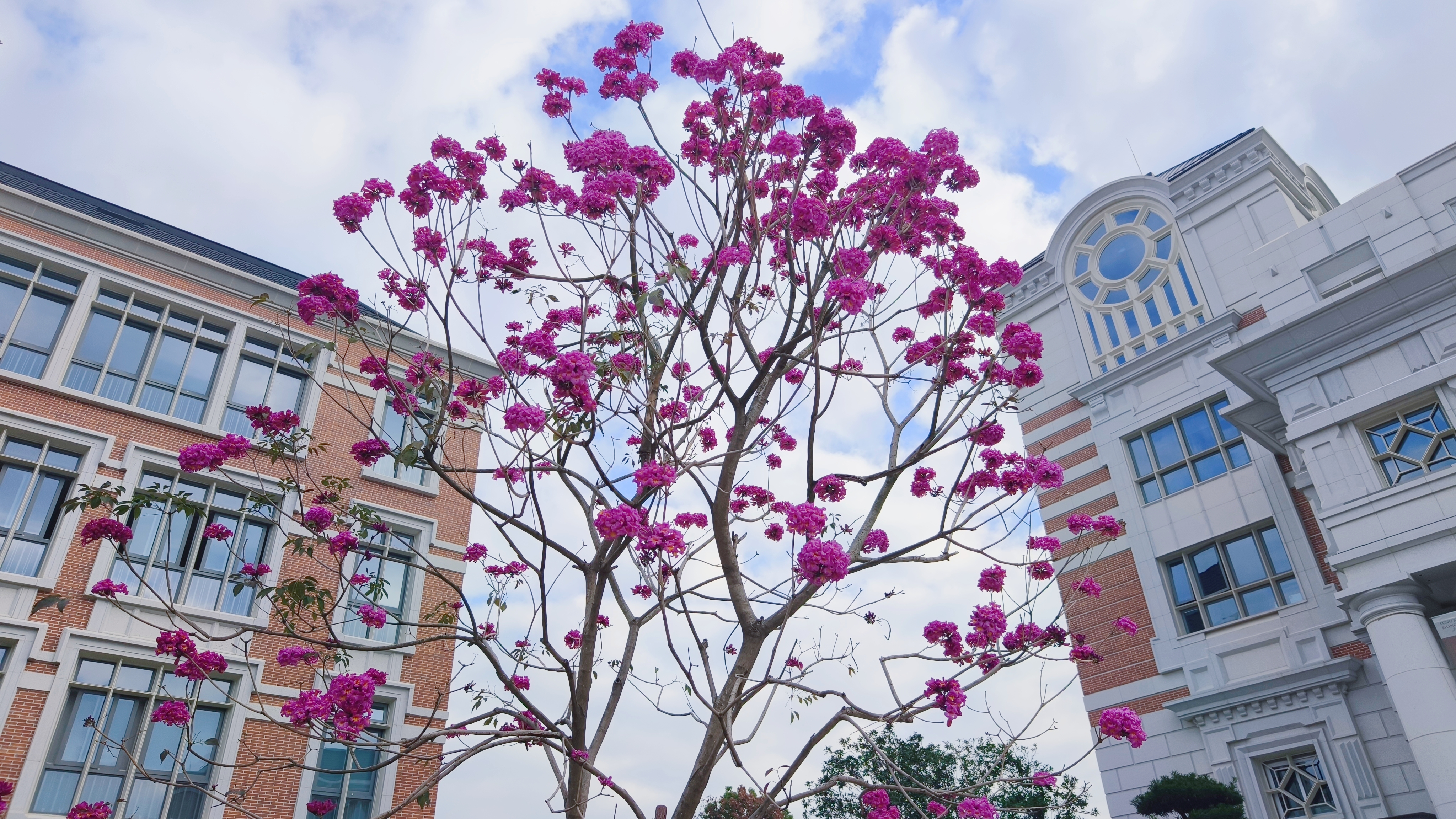 微信圖片_20231211093629.jpg 微信圖片_20231211093629.jpg